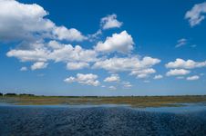 Danube Delta Landscape Stock Photos