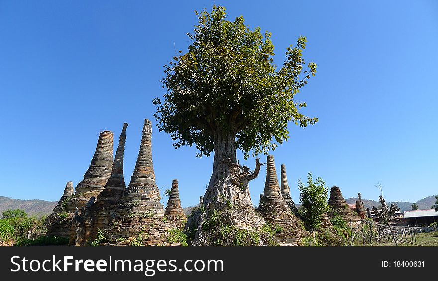 Landscape of a group of ancient buddhist stupa with a tree in Myanmar. Landscape of a group of ancient buddhist stupa with a tree in Myanmar