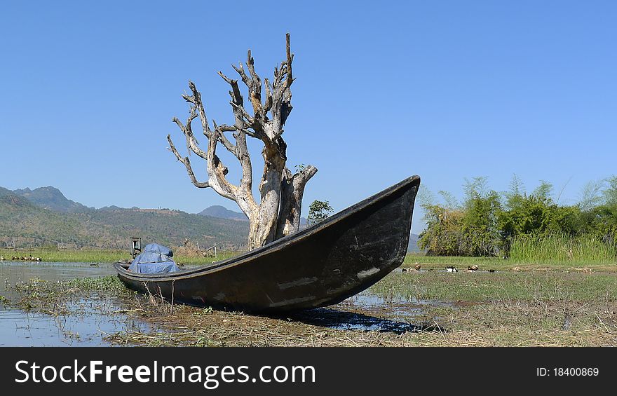 Scenery of old boat and dead tree by a lake