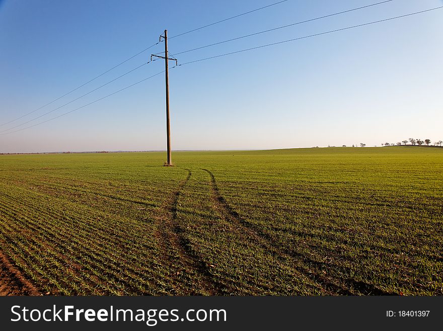 Power Line in Green field on blue sky background