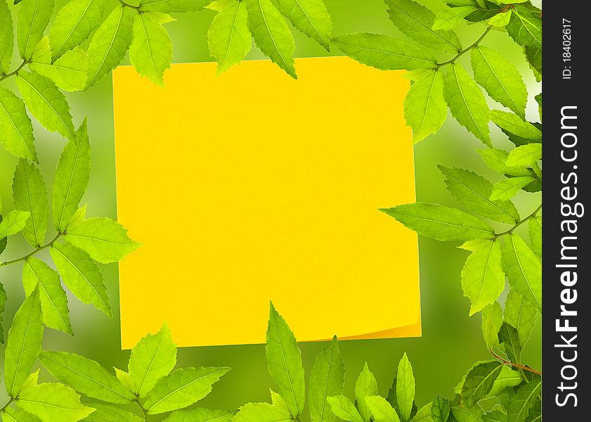 Yellow Memo note in Green leave frame. Yellow Memo note in Green leave frame