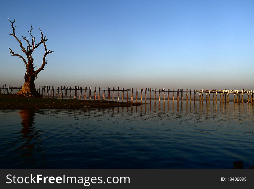 Landscape of a wooden bridge and dead tree at dusk