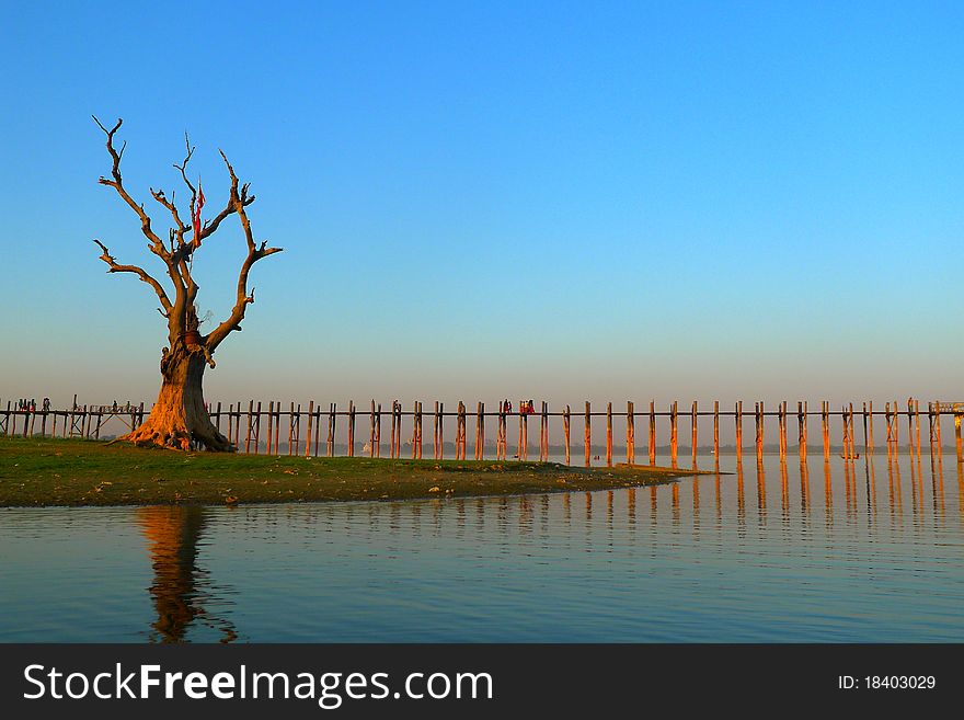 Landscape of wooden bridge and dead tree at sunset