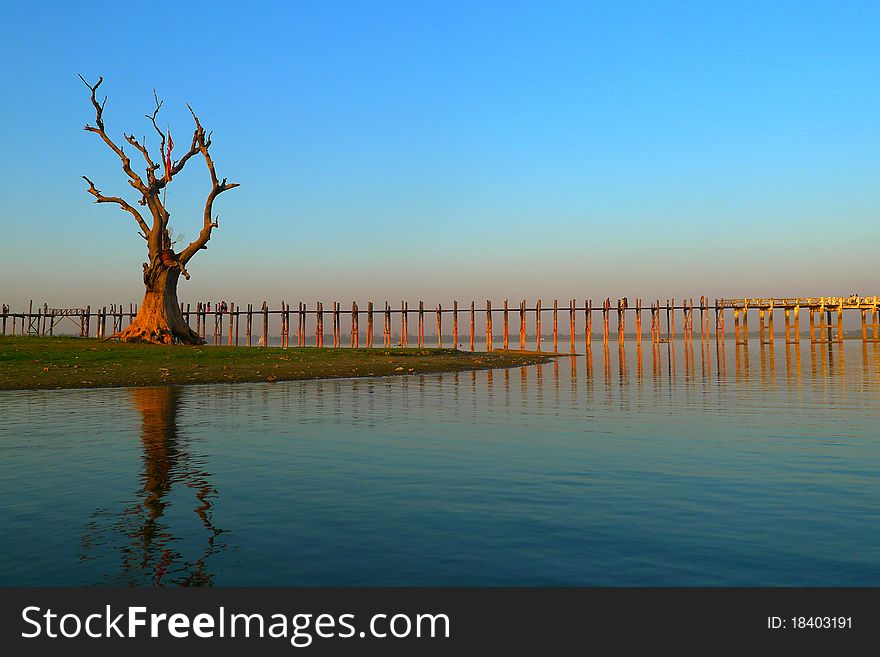 Landscape of wooden bridge and dead tree