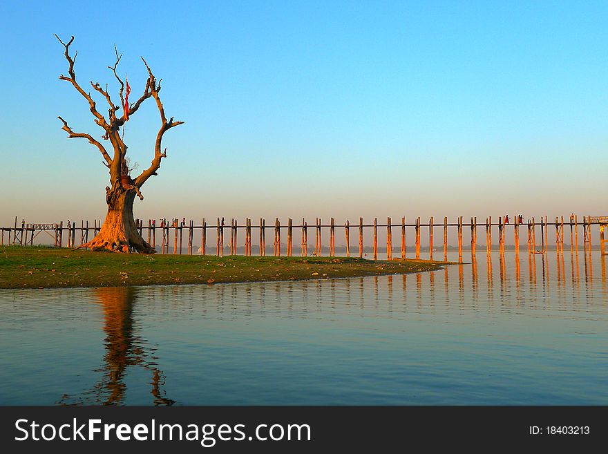 Landscape of wooden bridge and dead tree