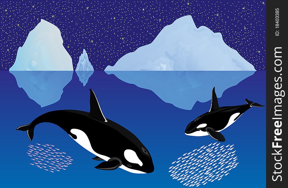 Whales among the icebergs