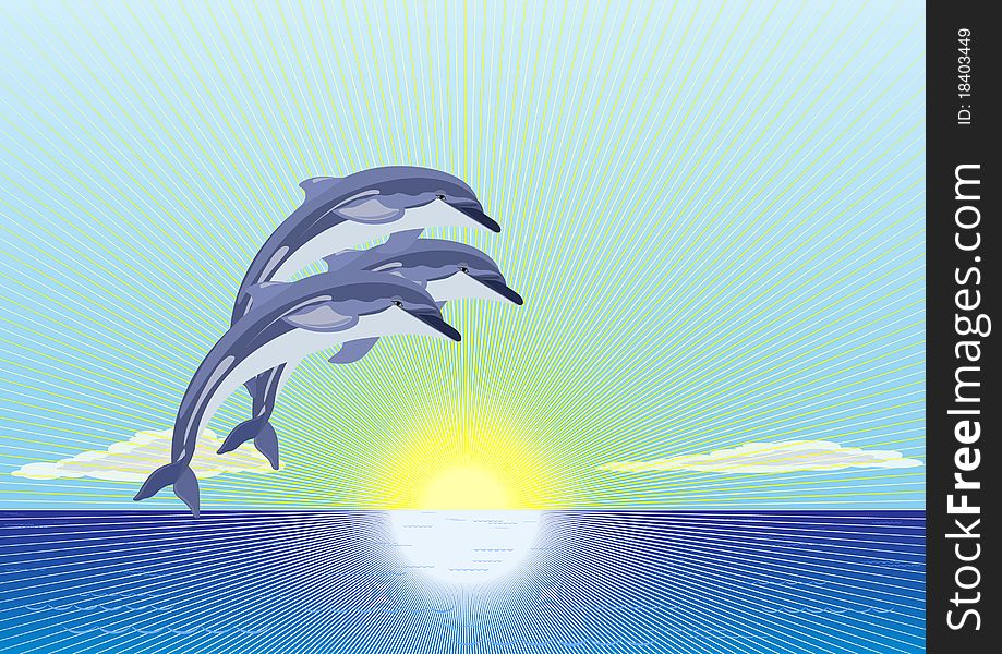 On the horizon of the ocean the sun shines. Against the blue sky group of dolphins