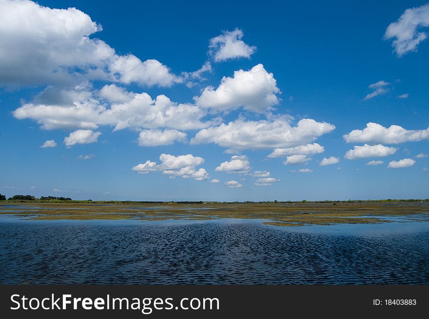 Danube Delta Landscape in summer