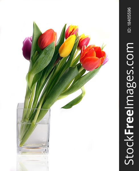 BOuquet of tulips in vase, isolated on white background. BOuquet of tulips in vase, isolated on white background