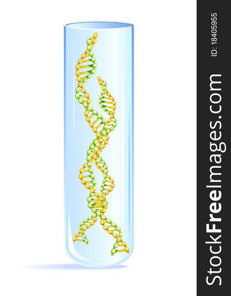 Realistic colorful molecule of DNA in glass proof, isolated. Realistic colorful molecule of DNA in glass proof, isolated