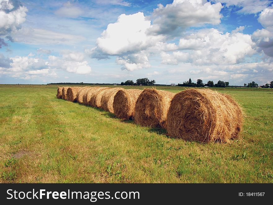 Rye harvest month scenery with straw bales