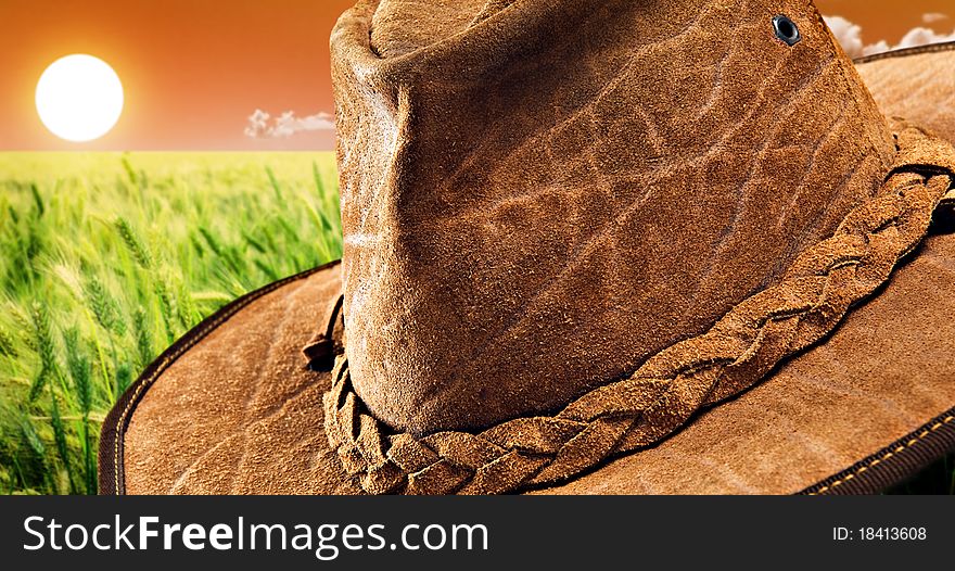 Close up of a leather hat made of crocodile skin with beautiful sunset over a wheat field in the background