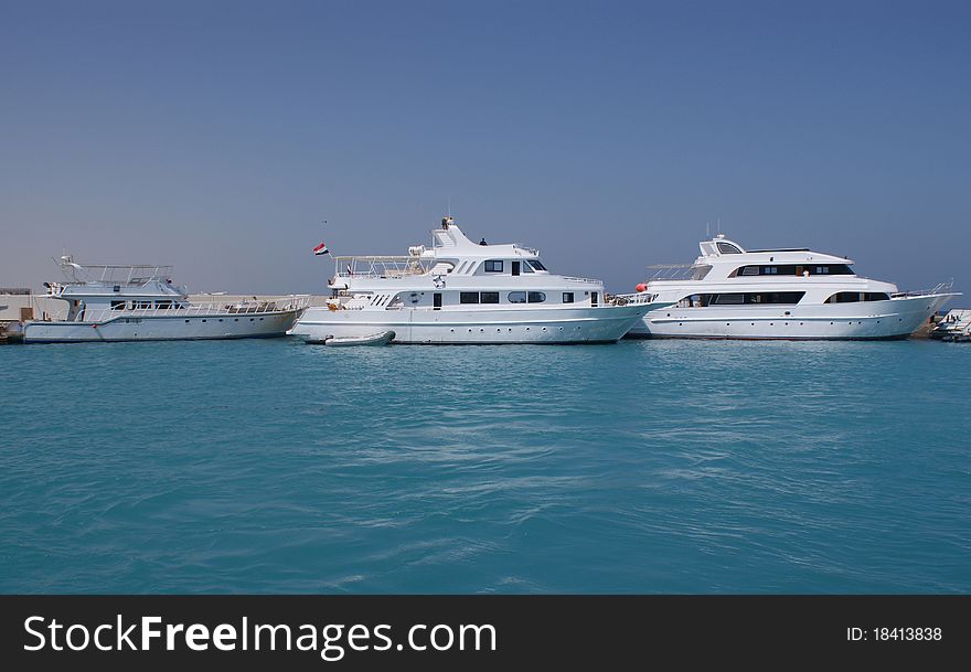 White yachts in Red sea travel
