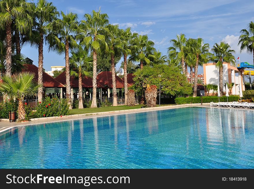 Empty pool with palm trees in background. Empty pool with palm trees in background.