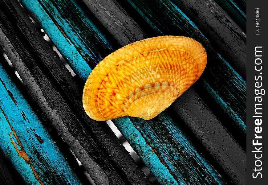 A yellow shell on a stripes background withe selective black & white .