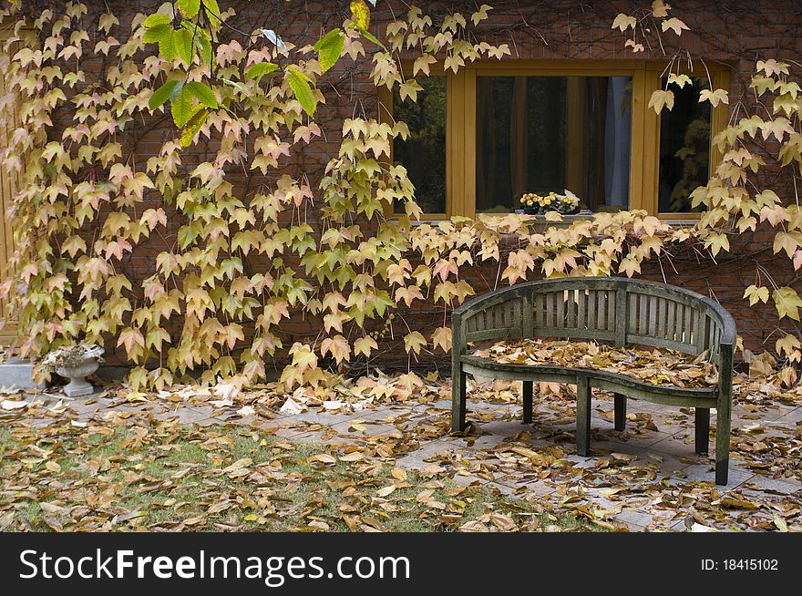 A bench with colourful leaves in the background. A bench with colourful leaves in the background