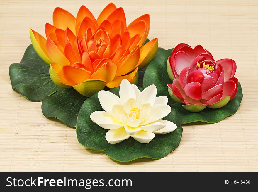 Multicolored water lily flowers on bamboo rug