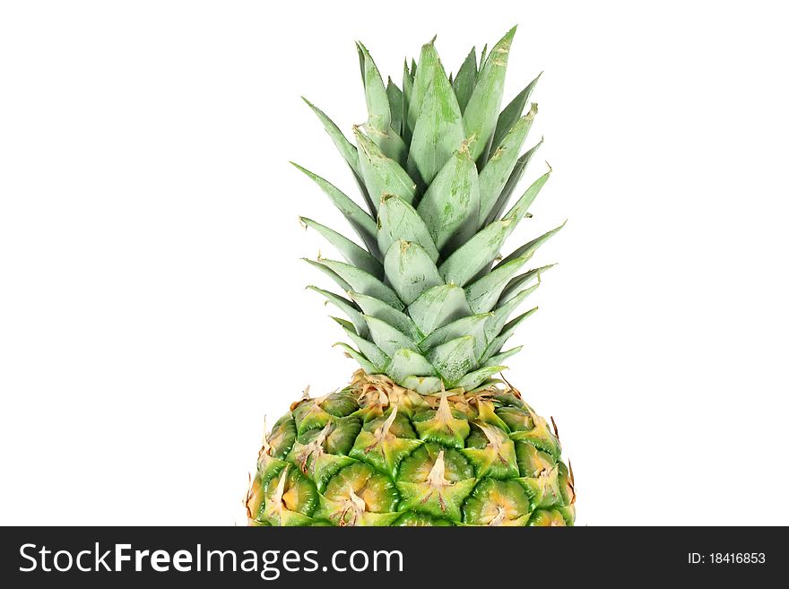 Top Of The Pineapple