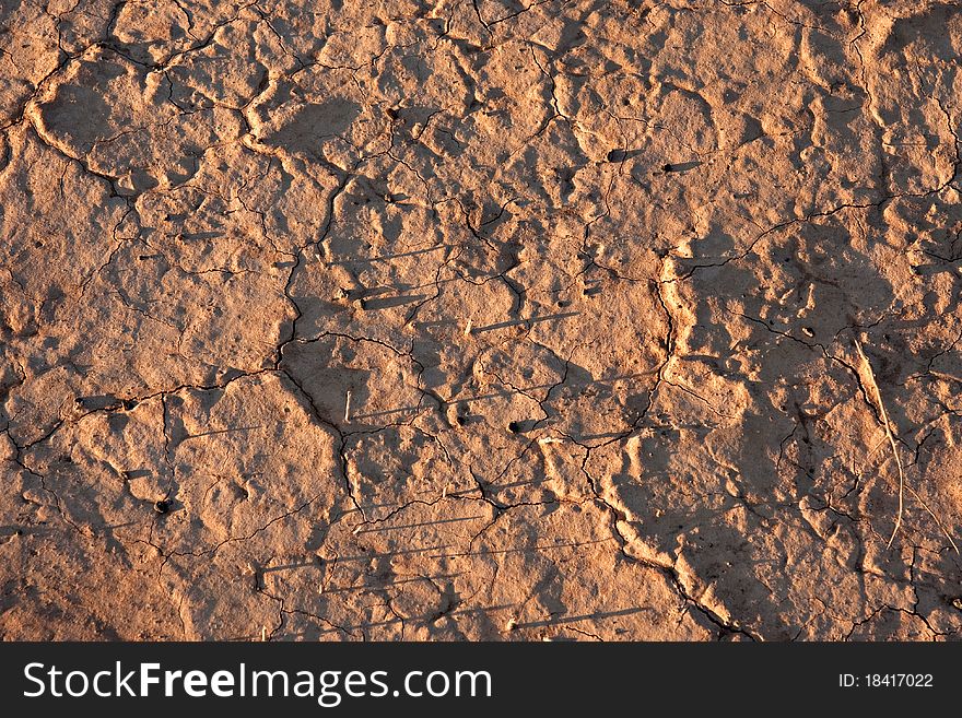 Closeup of dry cracked dirt surface of verneukpan, a large saltpan in south africa