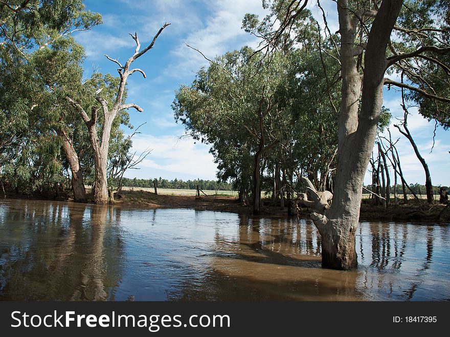 A creek that is usually dry is full of water. A creek that is usually dry is full of water