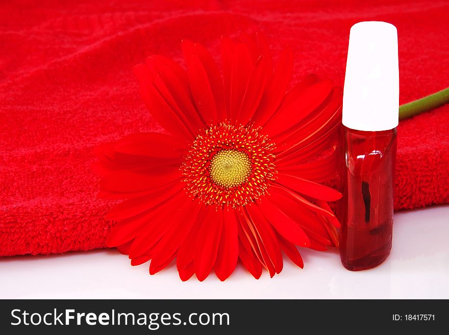 Nailcare product bottles with red gerbera daisy flower and red towel. Nailcare product bottles with red gerbera daisy flower and red towel