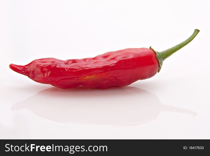 Single red chili pepper on white background. Single red chili pepper on white background