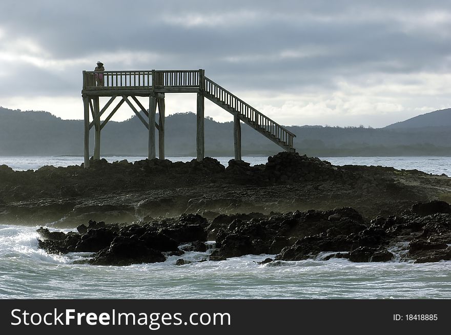 Impressions of the beautiful galapagos islands in the pacific tropical region. Impressions of the beautiful galapagos islands in the pacific tropical region