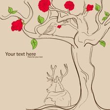 Free Rose Tree Stock Images - 18421704