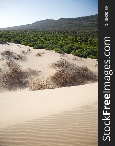 Great sand dune at Cadiz Andalusia in Spain. Great sand dune at Cadiz Andalusia in Spain