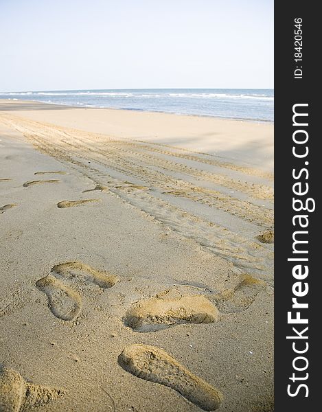 Footprints in sand on the beach background.