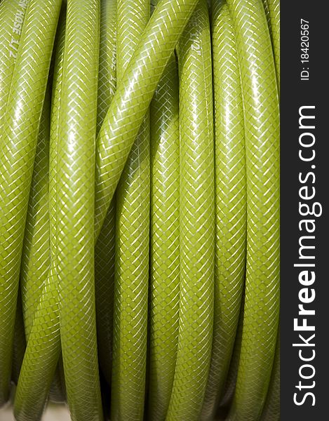 Rolled up of green PVC garden hose.