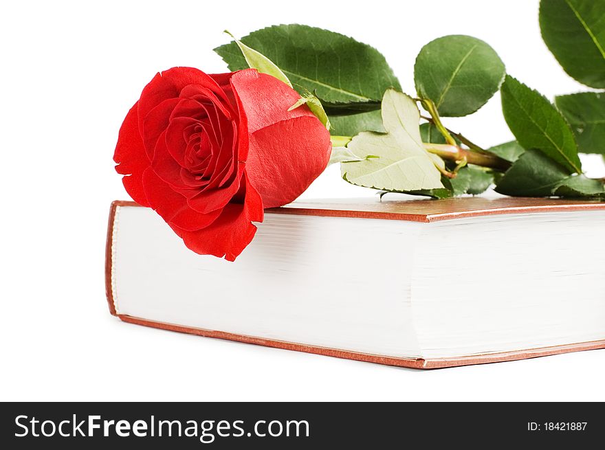 Beautiful red rose on the book isolated