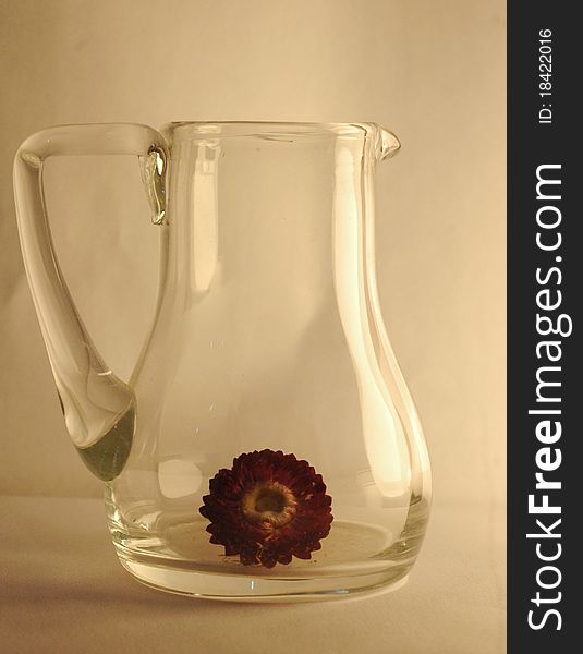 An immortal autumn flower trapped in a handmade glass bowl. An immortal autumn flower trapped in a handmade glass bowl