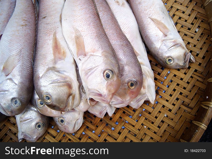 Marine fish, marine fish from the sea salvage back, very fresh; now lying in the market, waiting for people to purchase. Fish, is that people particularly like to eat marine life.