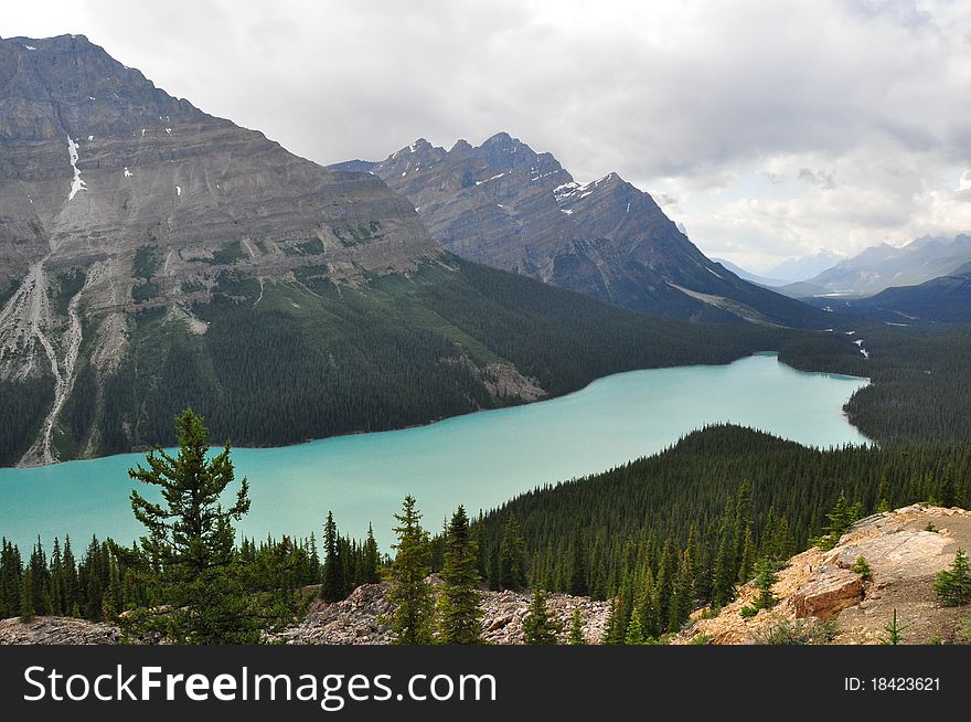 Peyto Lake on Iceland Parkway in Alberta, Canada