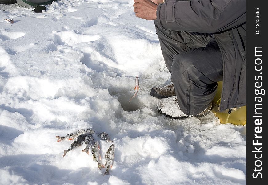 Subglacial fishing in the winter on the river