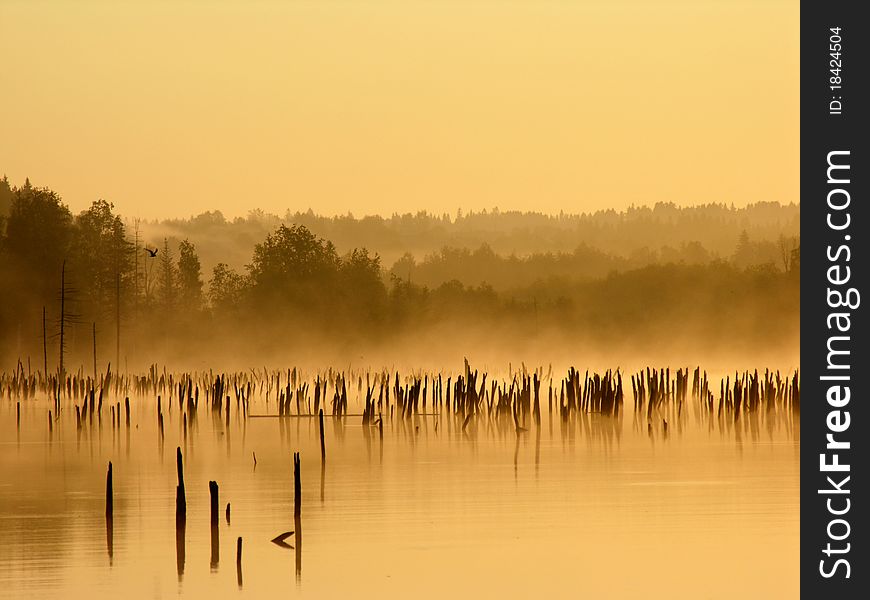 Dawn on the lake spirits. north of Udmurtia. Dawn on the lake spirits. north of Udmurtia