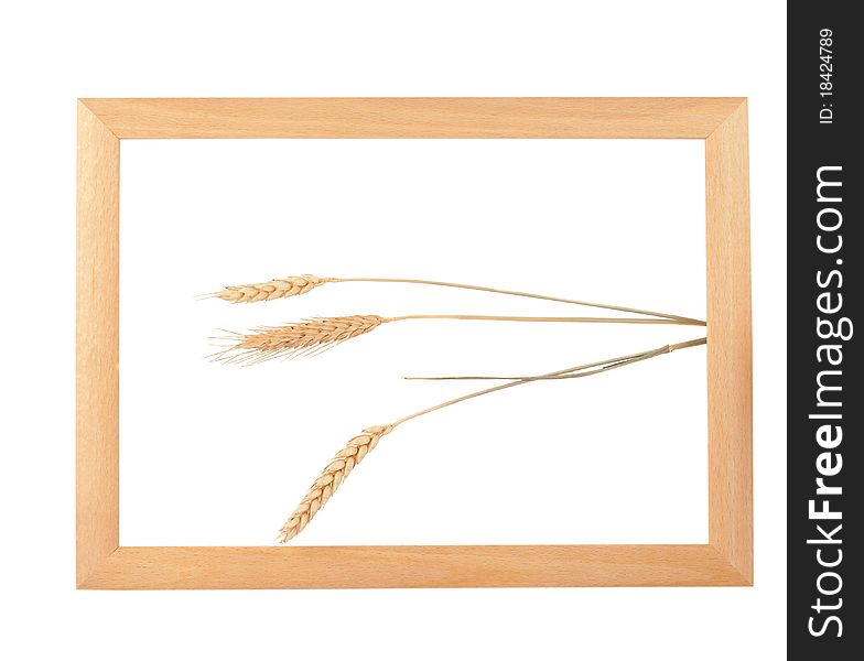 Wooden frame with spikelets of wheat on a white background