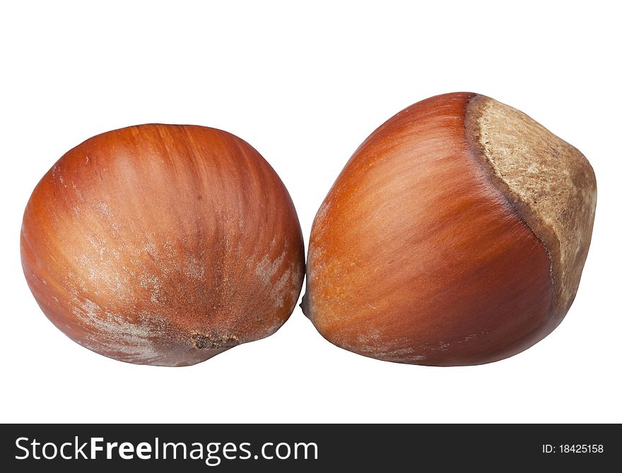 Two of hazelnuts in the shell isolated on white background. Two of hazelnuts in the shell isolated on white background