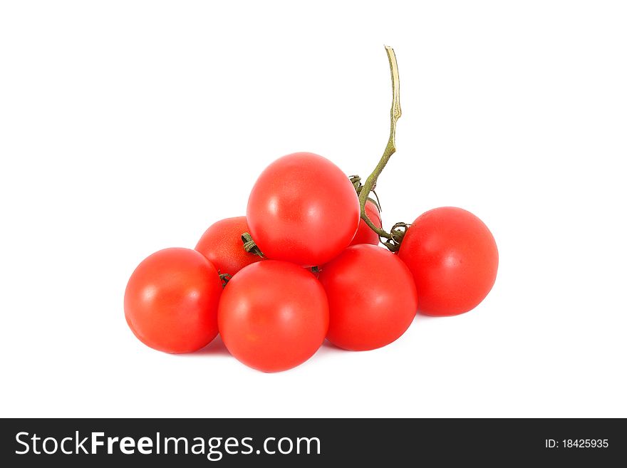 A branch of red tomatoes isolated on white background