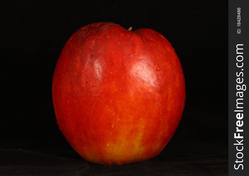 One organically grown apples isolated on Black