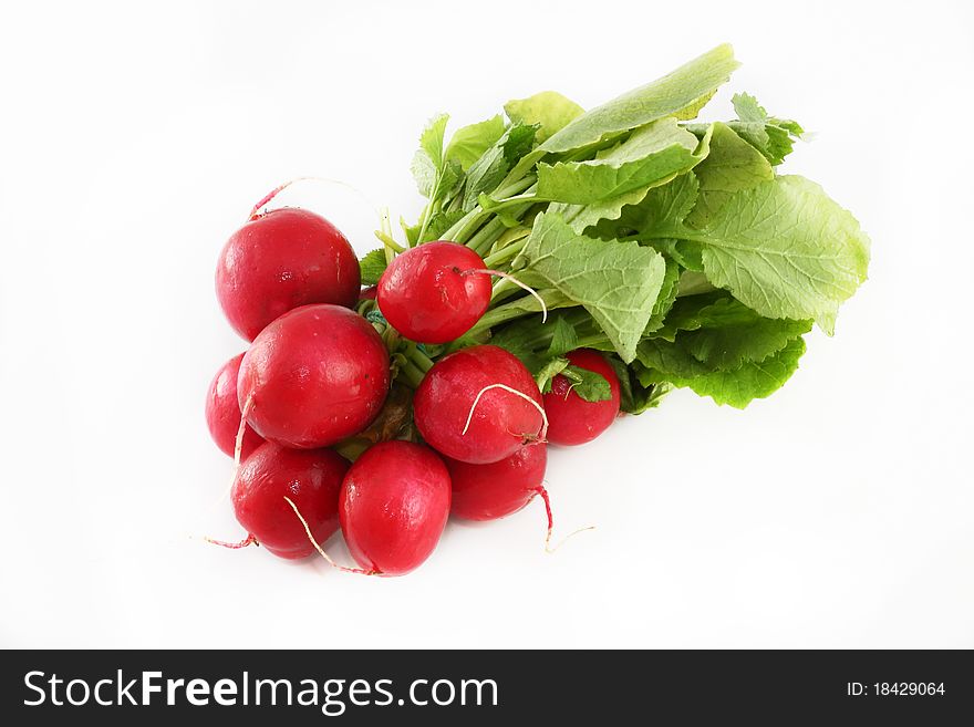 Bunch of radishes on the white background