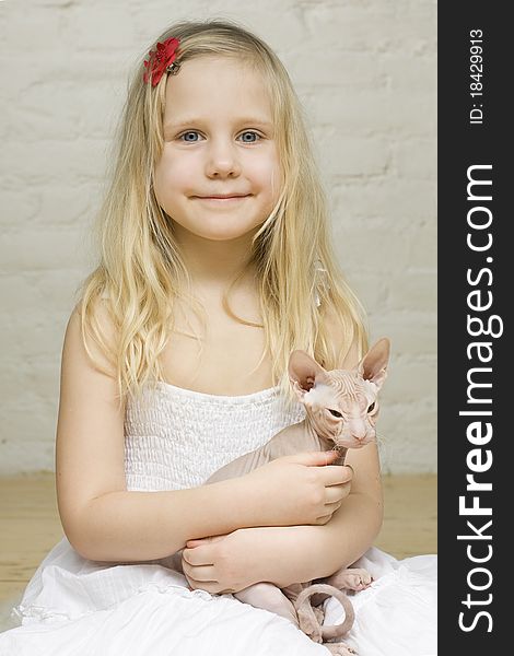 Young smiling girl with kitten sphinx