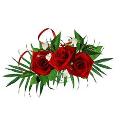 Card For The Holiday With Red Rose Stock Photos Card For The Holiday With Red Rose Stock Photos