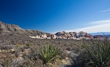 Mojave Desert Stock Photos Mojave Desert Stock Photos