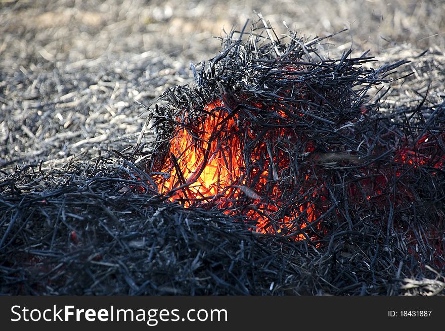 Burning straw after a fire in the field