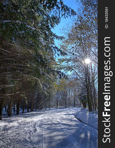 Forest and nature under winter in France. Forest and nature under winter in France.