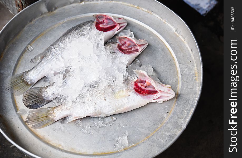 Fresh Fish On Ice Decorated For Sale At Market