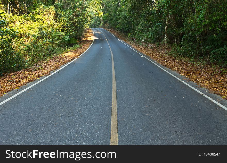 Road in the national park of Thailand