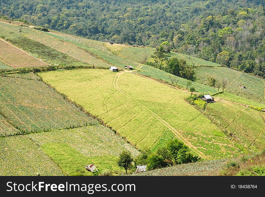 Mountain Landscape And Farm